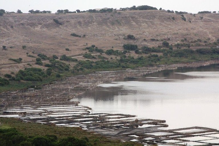 Part of Lake Katwe. Photo by Felix Basiime.JPG