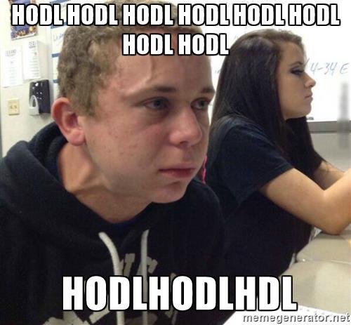 when-you-havent-told-anyone-in-5-minutes-hodl-hodl-hodl-hodl-hodl-hodl-hodl-hodl-hodlhodlhdl.jpg