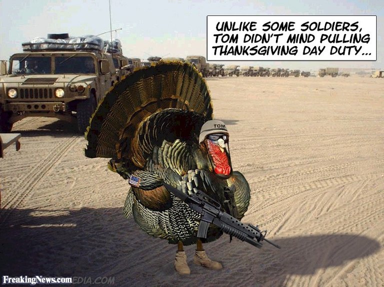 THANKSGIVING-TURKEY--7308.jpg