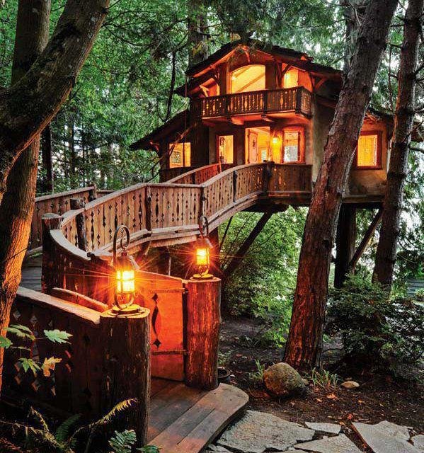 3-tree-house.jpg