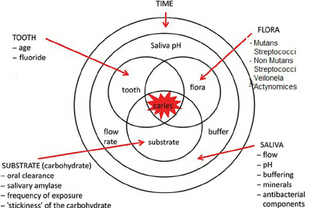 Fig-1-Etiology-of-dental-caries.png