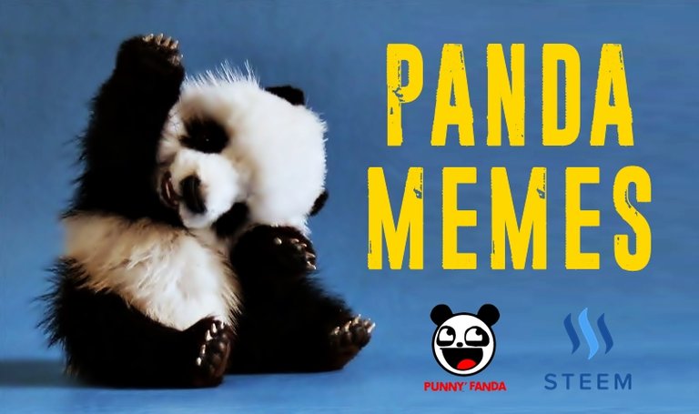 panda memes on steem it.jpg