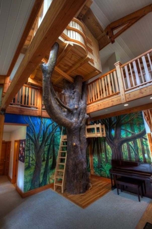 9ae7af95a11f63a6eeb860ad44e0a552--indoor-tree-house-indoor-trees.jpg