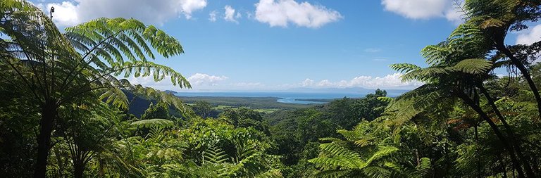 Daintree Small.jpg