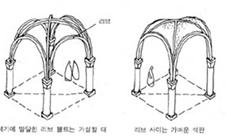 늑골궁륭.jpg