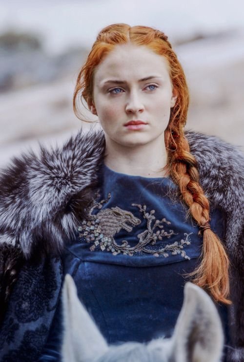 f41f8c1efa8e0f9072cf371266ac3812--game-of-thrones-sansa-stark-game-of-thrones-embroidery.jpg