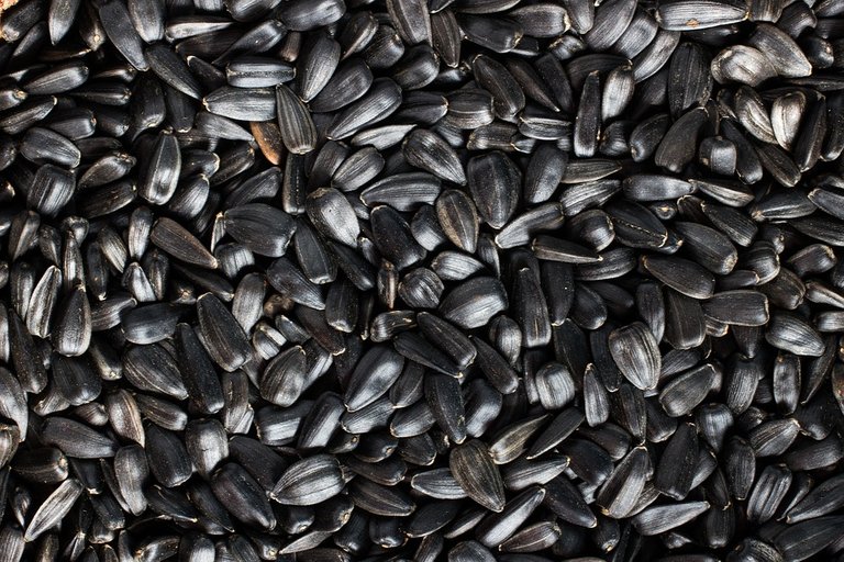 sunflower-seeds-1237735_960_720.jpg