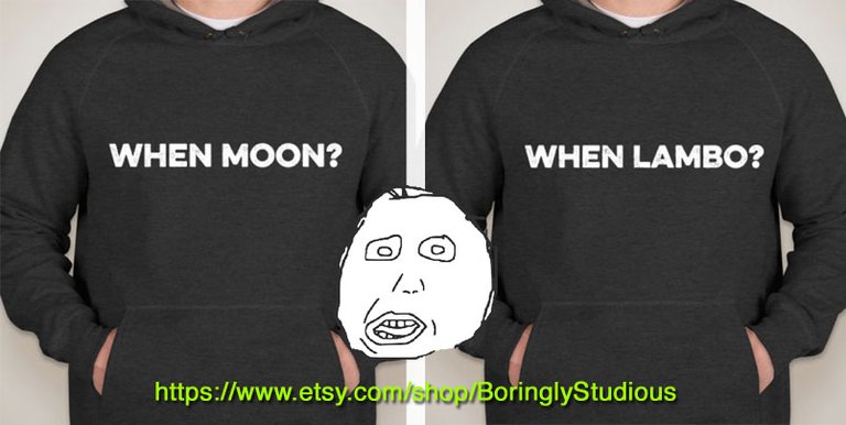 when-moon-and-when-lambo-cryptocurrency-hoodie.jpg