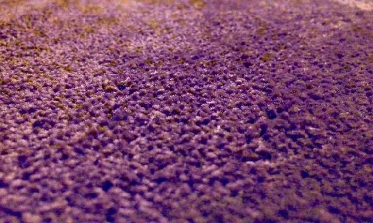 blend-yellow-purplecarpet.jpg