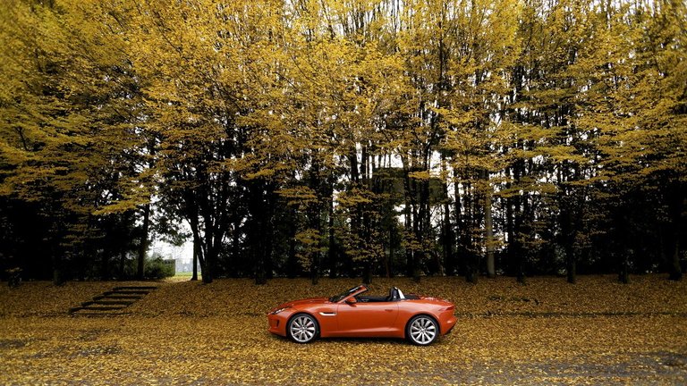 Jaguar-F-Type-S-Roadster_9.jpg