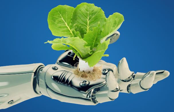 robotic-arm-with-lettuce.png