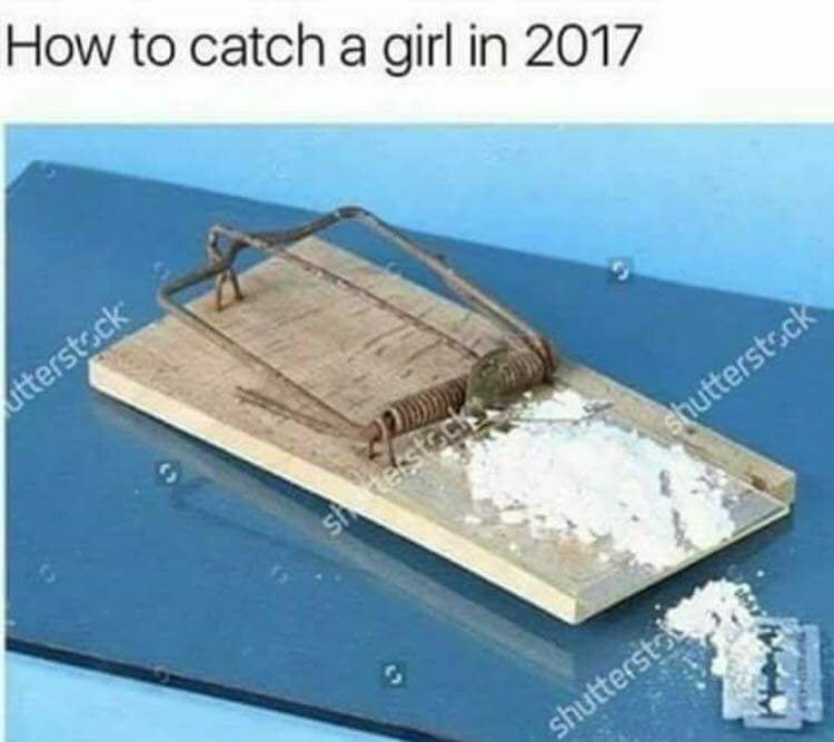 Cocaine mouse trap.jpg