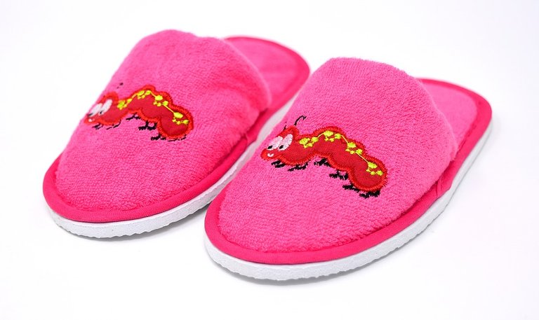 slippers-3110698_960_720.jpg