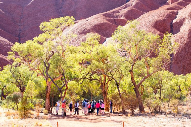 anewone3ULURU_1000pxblog.jpg