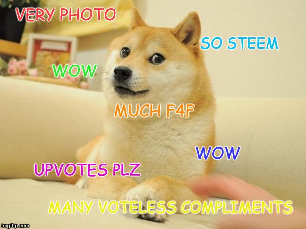 steemdoge.jpg