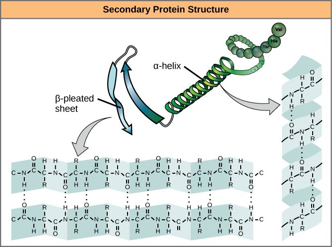 Figure_03_04_07.jpg