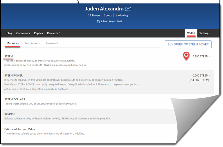 Steemit_Wallet_Balances.png