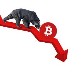 BEARBITCOIN.jpg