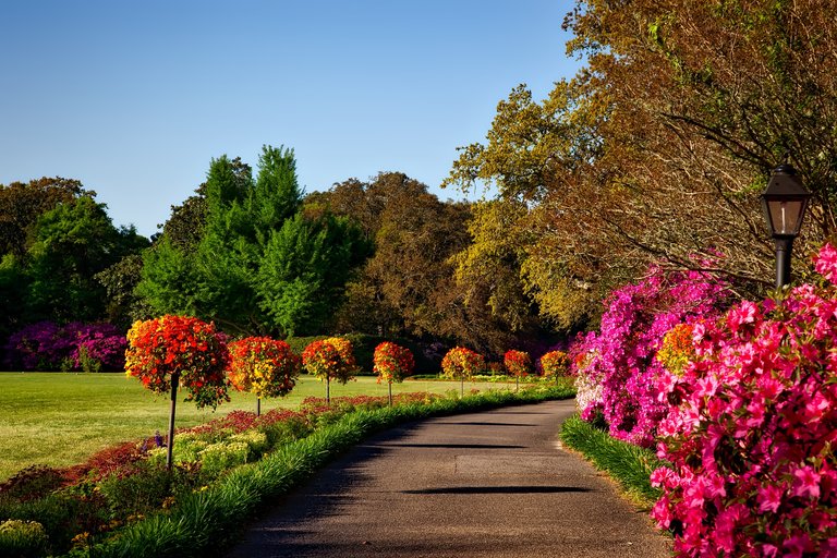 bellingrath-gardens-alabama-landscape-scenic-158028 (1).jpeg