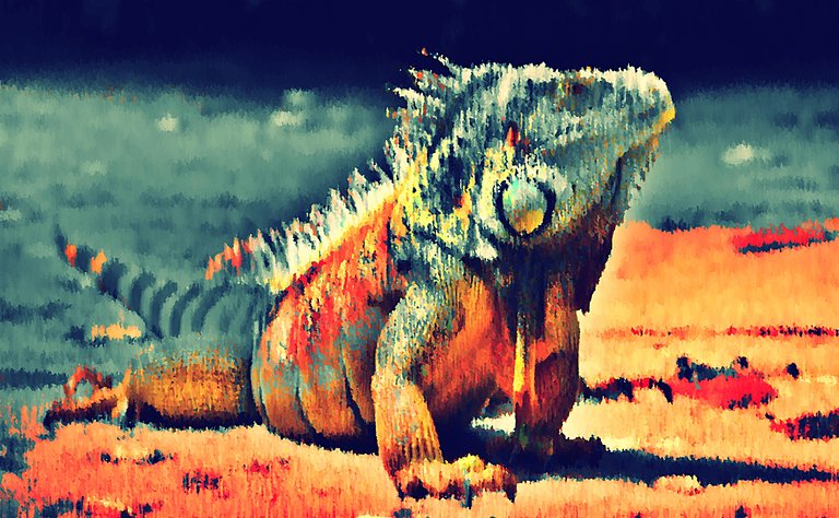 iguana3.jpg