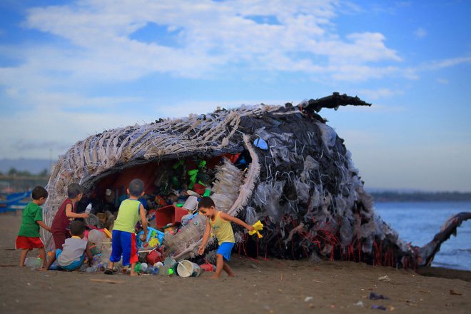 dead-whale-of-the-philippines-591a69e8b18af-880-1495169864810.jpg