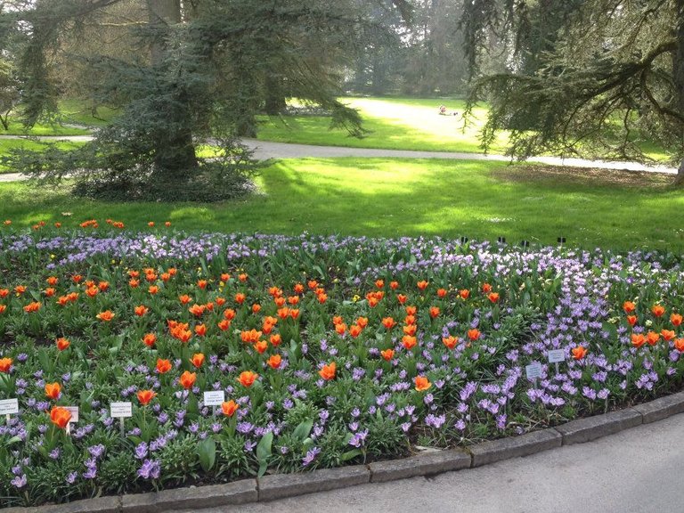 mainau_2.2.jpg