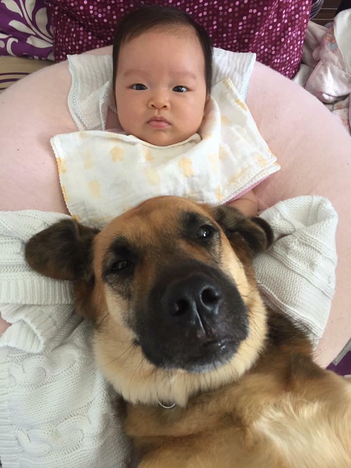 Skye now Bella with baby sister.jpg