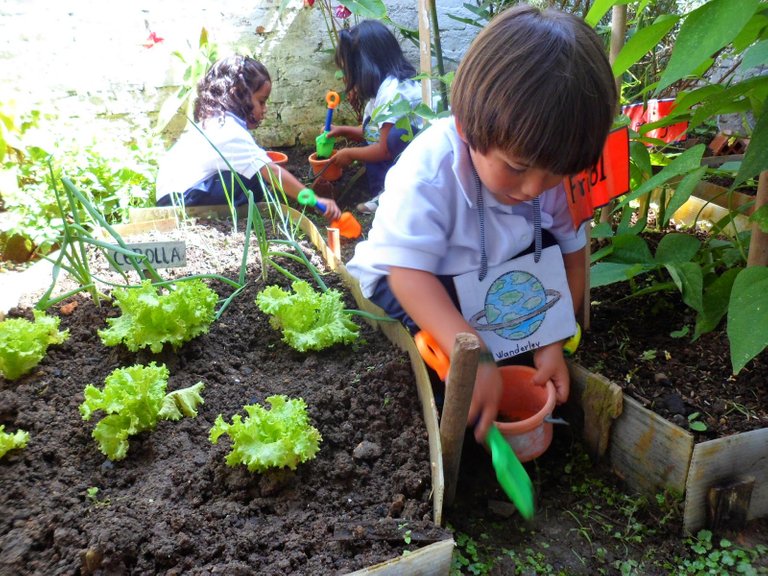 Foto agricultura 3.JPG