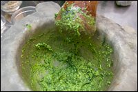 pesto-genovese-preparazione12.jpg