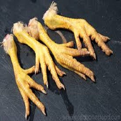 chicken feet.jpg