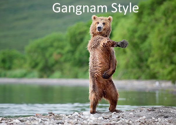 gangnam style 1.jpg