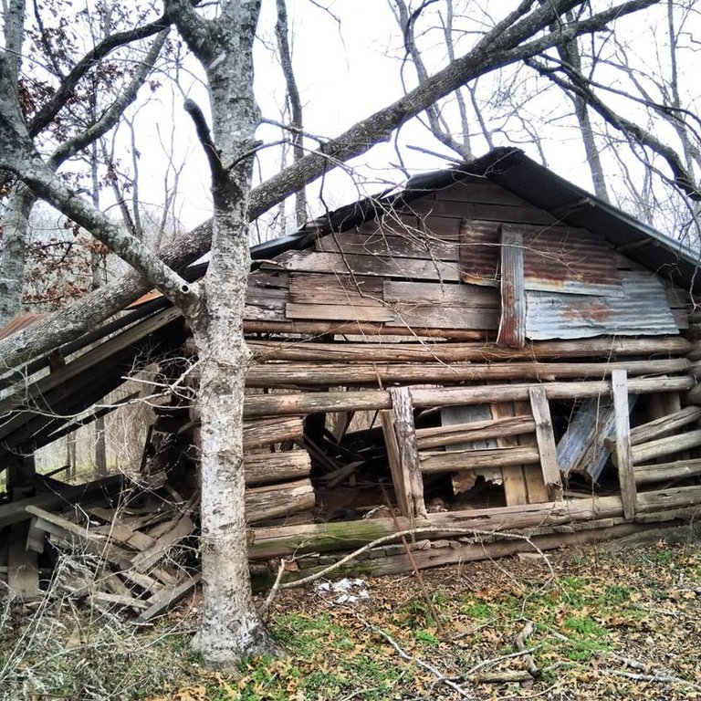 Log Cabin 157 03.jpg