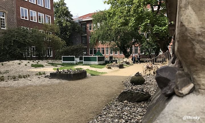 14.Study Garden.JPG