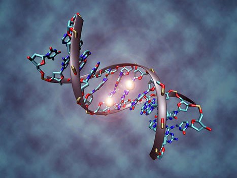 640px-DNA_methylation-.jpg