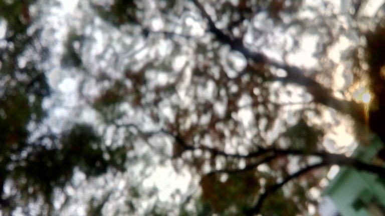 nature1vjg.jpg