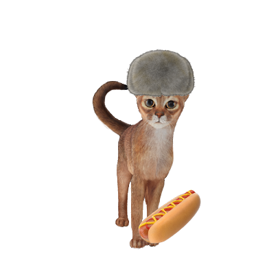 cat2.png