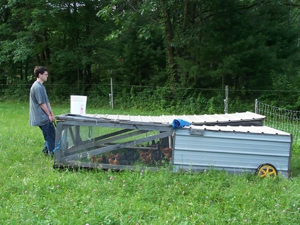 Devin moving Salatin pen1 crop June 10.jpg