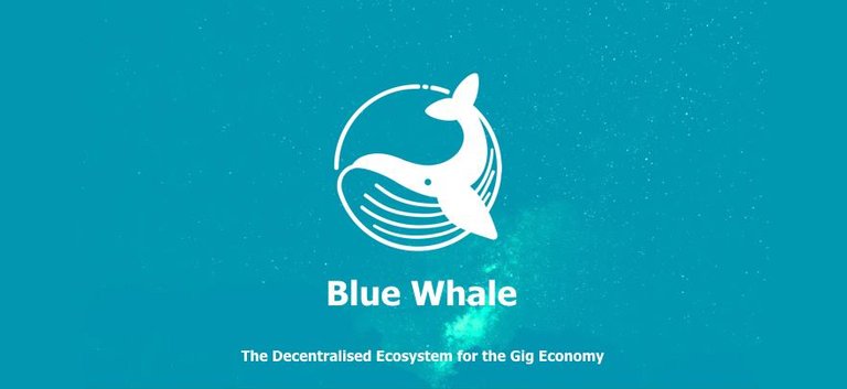 FBHeaderBlueWhale.jpg