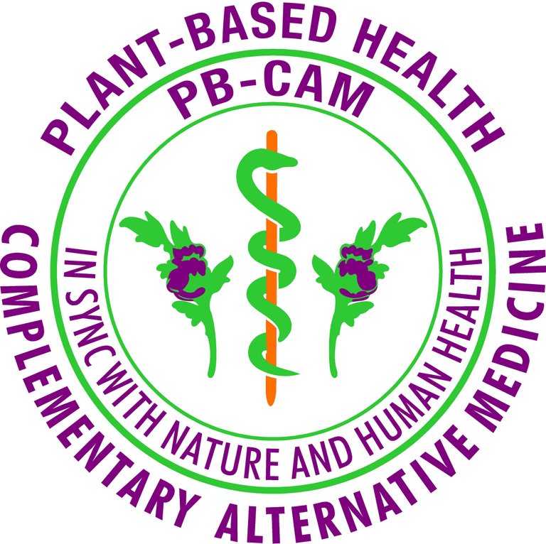 PB-CAMlogo.jpg