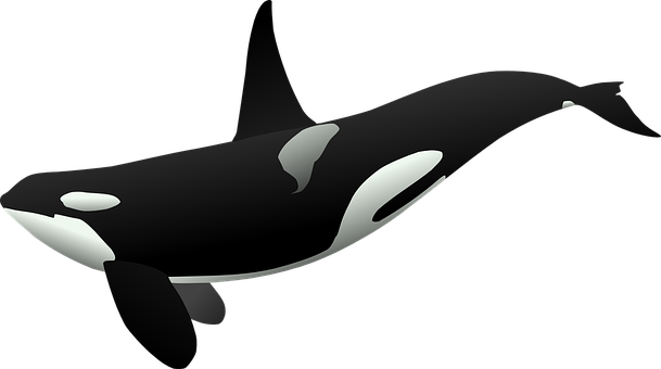 orca.png