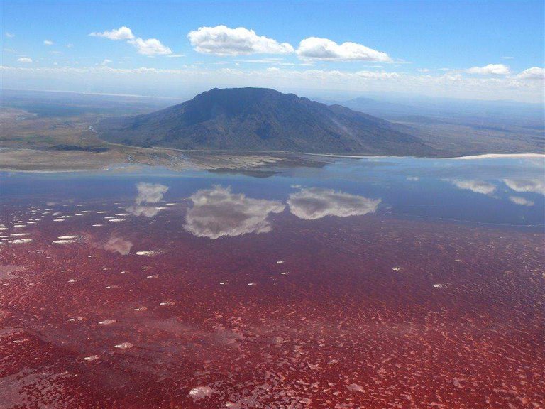 Lake Natron, Tanzania.jpg