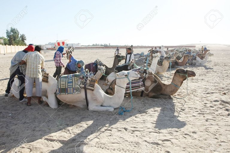 19599208-Douz-Kebili-Tunisia-September-17-2012-Beduins-are-waiting-for-tourists-to-ride-their-camels-at-the-S-Stock-Photo.jpg