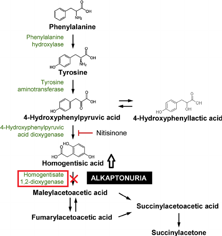 Fig-1-Tyrosine-degradation-pathway-showing-the-enzyme-defect-in-alkaptonuria.png