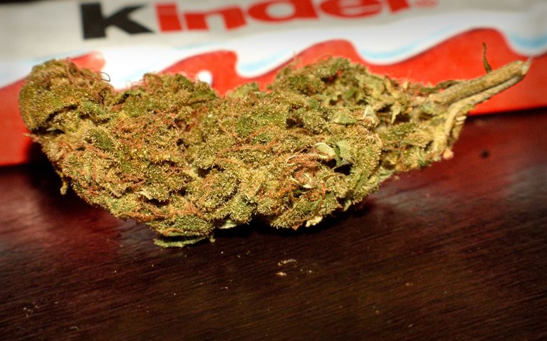 BUD20 MAR 1 w cure.jpg