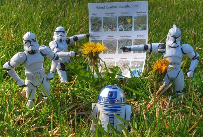 star-wars-weed-control.jpg.662x0_q70_crop-scale.jpg