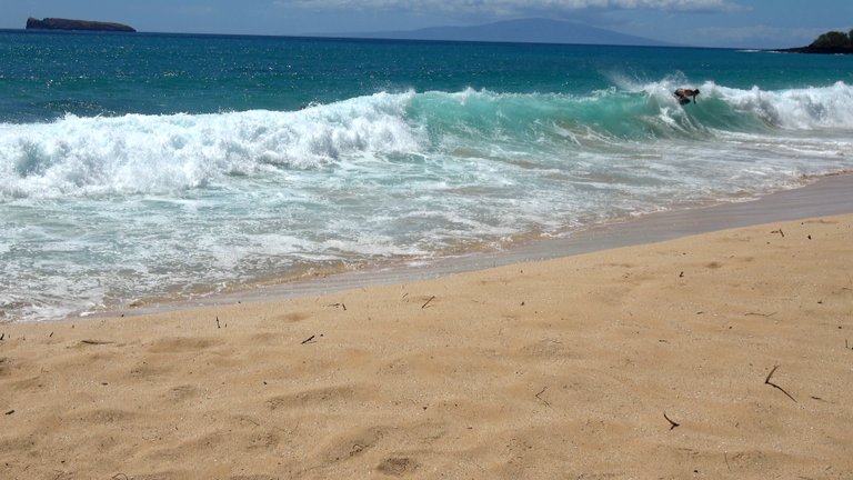 big-beach-09-01-17-skimmer1.jpg