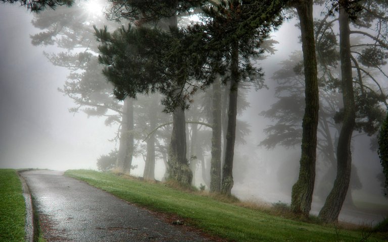 foggy-road-wallpaper.jpg