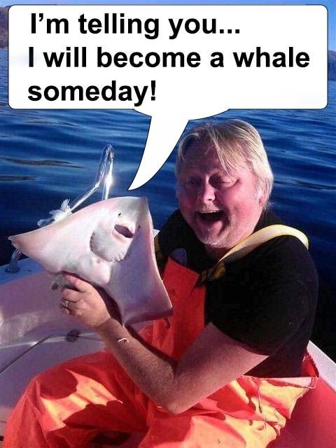 NHQ3hDh - Imgur_whale.jpg