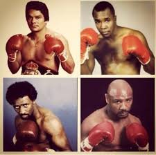 fab four boxing .jpeg