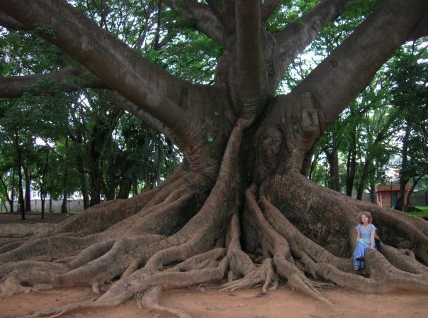 lal-bagh.jpg